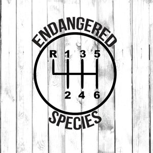 May include: Black and white graphic of a car's gear shift pattern with the words "Endangered Species" around it.