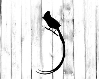 Long Tailed Bird - Home/Phone/Computer/Laptop/Car Bumper Sticker Decal