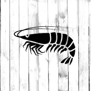 Shrimp - Di Cut Decal - Car/Truck/Home/Laptop/Computer/Yeti/Tumbler/Macbook/Phone Decal