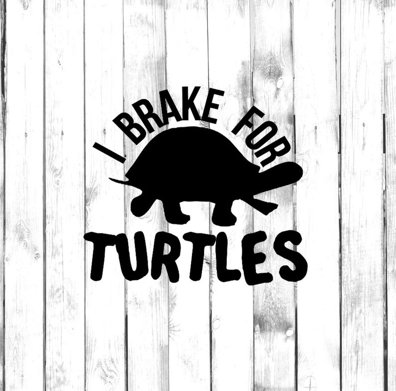 I Brake For Turtles Di Cut Decal Home/Laptop/Computer/Truck/Car Bumper Sticker Decal image 1