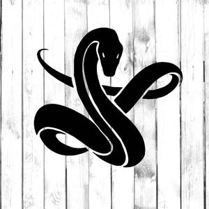 May include: Black and white silhouette of a snake curled up in a circle. The snake's head is facing the viewer and its tail is curled around its body.