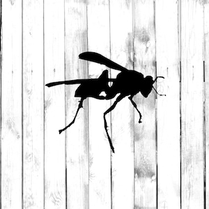 May include: Black silhouette of a wasp on a white wood background.