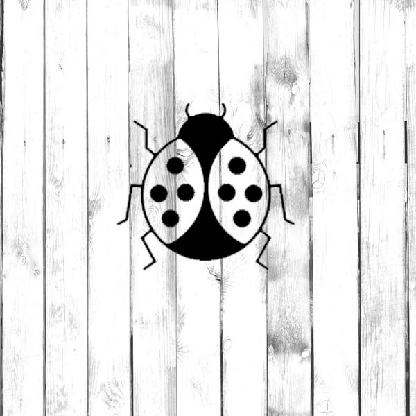 Cute Lady Bug - Di Cut Decal - Car/Truck/Home/Laptop/Computer/Phone Decal