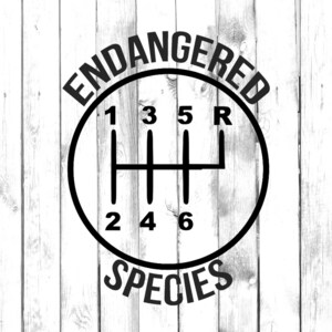 May include: Black and white graphic of a car's gear shift pattern with the words "Endangered Species" above and below the pattern.