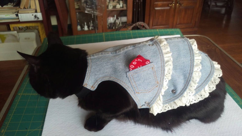 Girly Girl Pet Costume by Battle Cat Armor Cosplay | Etsy