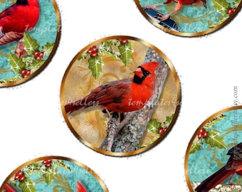 Digital Collage Sheet Cardinal Bird 1 inch round images Scrapbooking inches Pendants Printable Original  Printable 4x6 inch sheet 527