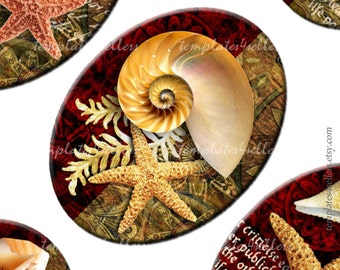 Digital Collage Sheet Vintage Seashell Starfish 30x40 mm oval images  Original  Printable 4x6 inch sheet 56