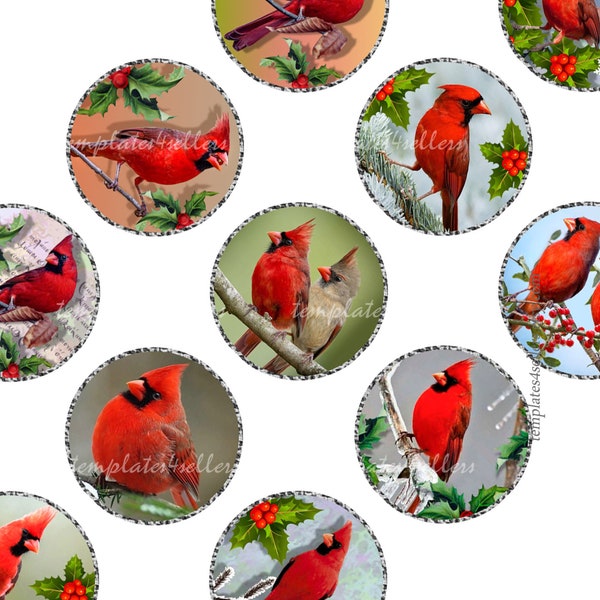 Feuille de collage numérique Cardinal Bird 30mm images rondes Scrapbooking pouces Pendentifs Imprimable Original Imprimable 8x11 pouces feuille 657