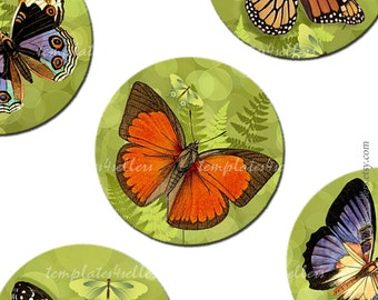 Digital Collage Sheet  Summer Butterflies 1 inch round images  Original  Printable 4x6 inch sheet 171