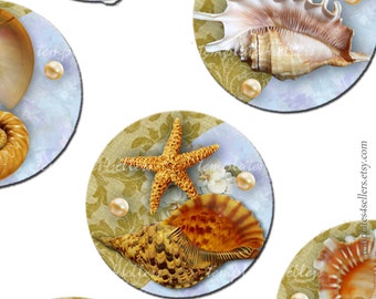 Digital Collage Sheet  Shell on Vintage Background 1 inch round original images Scrapbooking Pendants Printable 4x6 inch sheet  144