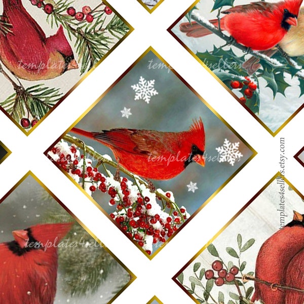 Digital Collage Sheet Bird Cardinal Christmas New Year 1 inch square images Vintage Scrapbooking Pendants Original 4x6 inch sheet