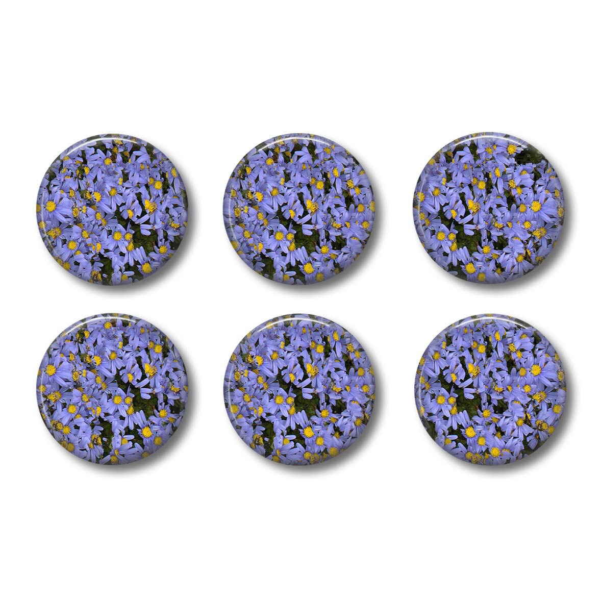 Digital Photo Template for 6 Buttons or Magnets 1 Inch - Etsy