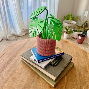 Op de afbeelding: Een groene monstera-plant in een terracotta pot, bovenop een stapel boeken. De boeken zijn van verschillende formaten en kleuren, met zichtbare titels. De plant heeft grote, gedetailleerde bladeren.