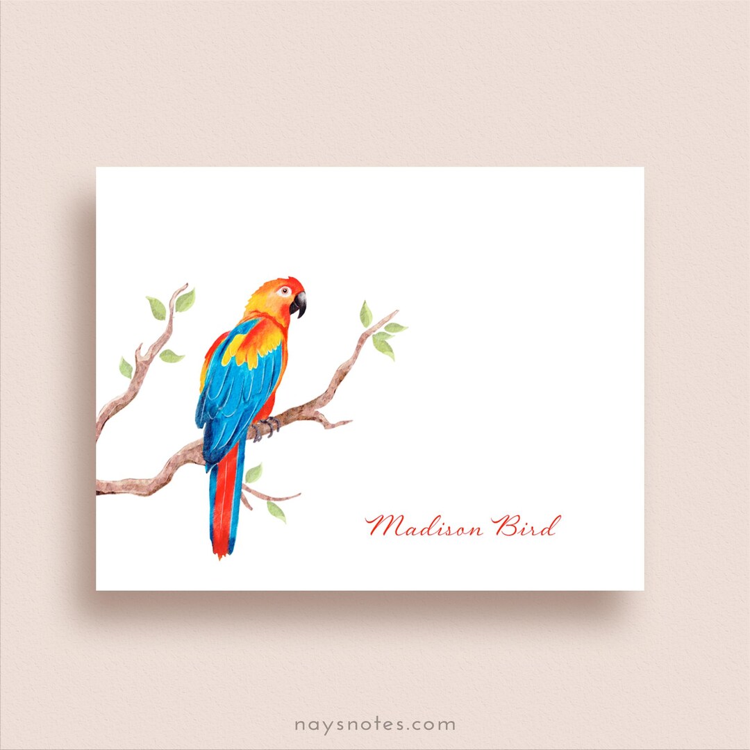 Personalized Parrot Stationery - Parrot Note Cards - Folded, Set of 8 ...
