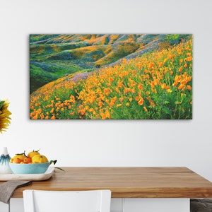 California Poppies Print Walker Canyon Flower Photography Lake Elsinore Pan Fine Art Wall Art Decor | Also Available on Canvas or Metal