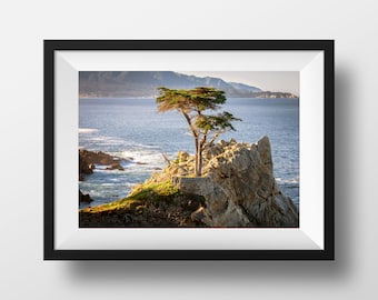 Lone Cypress Tree Carmel 17 Mile Drive Beach Photography Print Fine Art Photograph Wall Art Decor | Also Available on Canvas or Metal