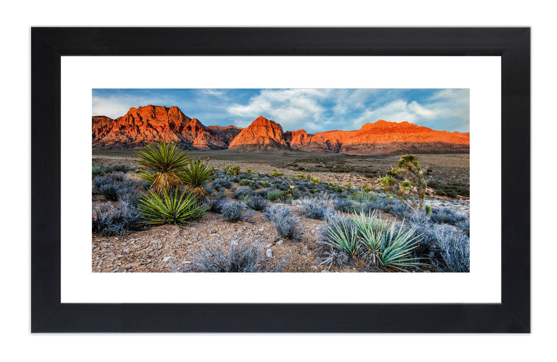 Red Rock Desert