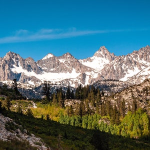 Puede incluir: Una vista panor&aacute;mica de una cordillera cubierta de nieve con un bosque en primer plano. Las monta&ntilde;as son una mezcla de marr&oacute;n y blanco, con la nieve cubriendo las cumbres. El bosque es una mezcla de &aacute;rboles verdes y marrones, con algunos de los &aacute;rboles en primer plano sin hojas.