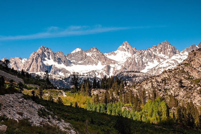 Puede incluir: Una vista panor&aacute;mica de una cordillera cubierta de nieve con un bosque en primer plano. Las monta&ntilde;as son una mezcla de marr&oacute;n y blanco, con la nieve cubriendo las cumbres. El bosque es una mezcla de &aacute;rboles verdes y marrones, con algunos de los &aacute;rboles en primer plano sin hojas.