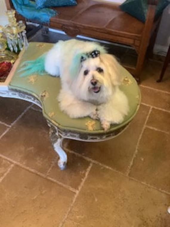 Large dog hair bows cheap