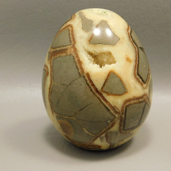 Septarian Nodule Egg 2.4 inch Crystal Natural Stone Decorator Utah Rock #E5