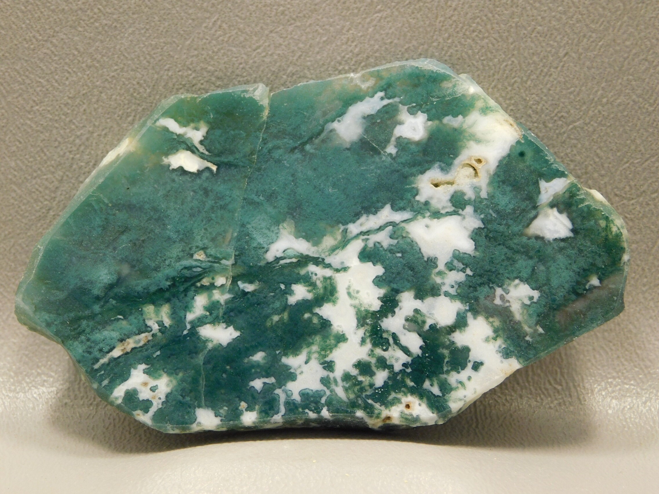 Moss Agate Polished Slab Green and White Decorator Rock | Etsy