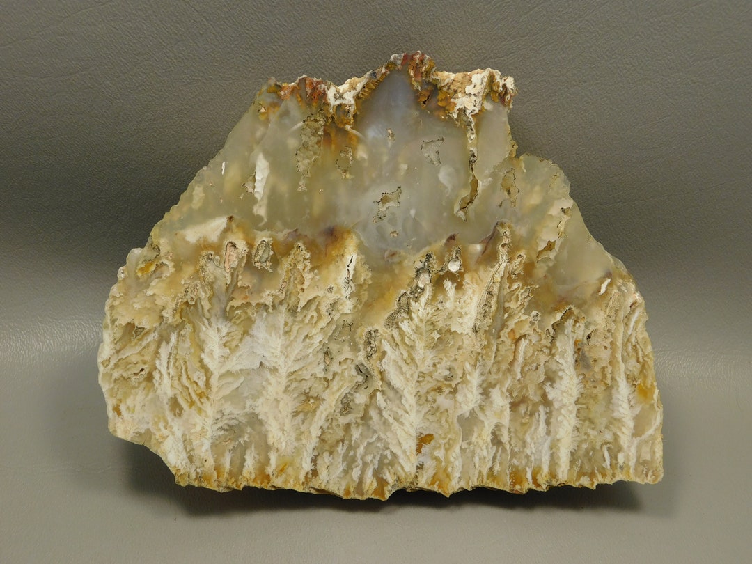 White Plume Agate Large Decorator Polished Collector Rock Mineral