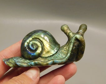 Snail Fetish