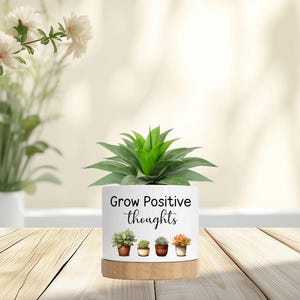 May include: A white ceramic planter with the text "Grow Positive thoughts" and illustrations of succulents. The planter sits on a wooden base and holds a green succulent plant. White flowers are in the background.
