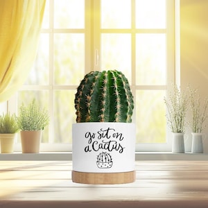 May include: A green cactus in a white pot with the text "go sit on a cactus" in black script. The pot sits on a wooden base. The background includes a window, yellow curtains, and small potted plants.