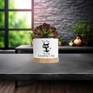 May include: White ceramic planter with a black cat illustration and the text "It's Fine I'm Fine Everything Is Fine". The planter has a wooden base and is filled with a succulent plant.