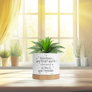 May include: White ceramic planter with a black and white design that says "Sometimes you forget you're Awesome - so this is your reminder." The planter has a wooden base and is filled with a green succulent plant.