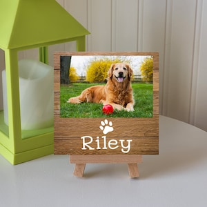 Personalized Dog Frame, Paw Print Frame, Dog Frame, Pet Frame, Gift, Pet Lover Gift, Personalized Gift, Dog Photo Frame, Dog Picture Frame