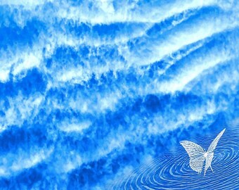 Butterfly Effect
