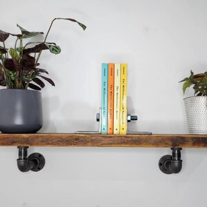 Puede incluir: Una estanter&iacute;a de madera r&uacute;stica con soportes de tuber&iacute;a de metal negro, con dos plantas en maceta y un sujetalibros que sostiene una pila de libros con el t&iacute;tulo "The Millionaire Next Door".