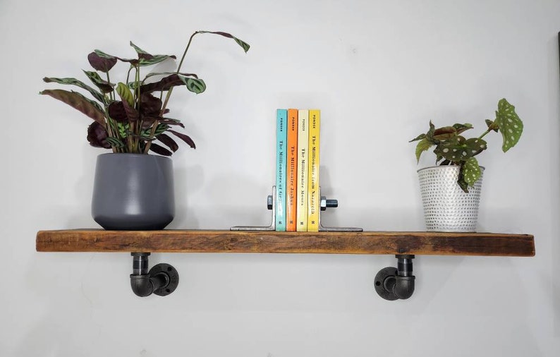 Puede incluir: Una estanter&iacute;a de madera r&uacute;stica con soportes de tuber&iacute;a de metal negro, con dos plantas en maceta y un sujetalibros que sostiene una pila de libros con el t&iacute;tulo "The Millionaire Next Door".