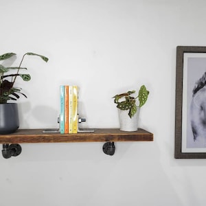 Puede incluir: Una estanter&iacute;a de madera con soportes de tuber&iacute;a met&aacute;lica negra, que sostiene dos plantas en maceta, un conjunto de libros coloridos y un dibujo enmarcado en blanco y negro de una mujer.