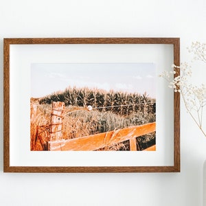 Modern Farmhouse Fall Decor, Fall Farm Pictures, Fall Landscape Photography, Farm Photography, Farmhouse Gallery Wall Art, Fall Print