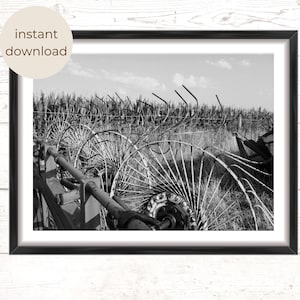 Black and White Farm Photography, Farmhouse Wall Art, Instant Digital Download, Printable Photo of Hayrake and Cornfield, Country Decor