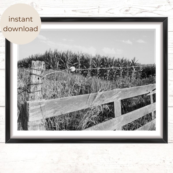 Modern Farm House Wall Decor, Farm Pictures, Farm Photography, Farmhouse Gallery Wall, Black and White Photography, Cornfield Print