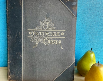 Picturesque Canada The Country As It Was and Is Vol 2 copyright 1882 Antique Book