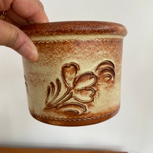May include: A brown and cream ceramic planter with a floral design. The planter has a textured surface and a brown rim.