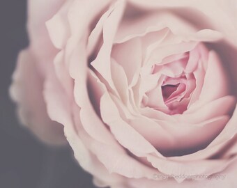 Rose print, pink rose photography, pink rose fine art print, dreamy wall art, gift for her, flower, rose quartz, large wall art, home decor