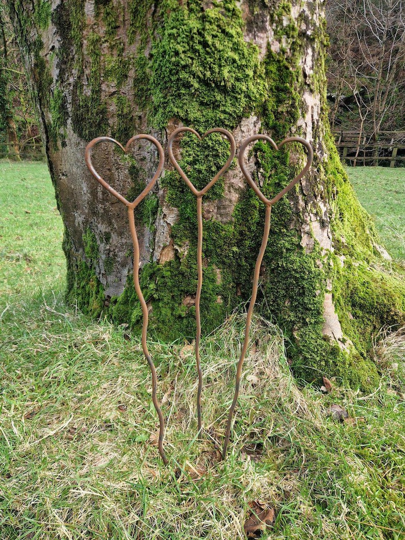 May include: Three rustic metal heart garden stakes stand in a grassy area near a tree trunk covered in green moss. The stakes have a simple, curved design, perfect for adding a touch of charm to any garden or outdoor space.