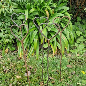 May include: Three metal heart-shaped garden stakes with long stems. The hearts are made of a dark, weathered metal, and the stakes are planted in a grassy area with lush green foliage in the background. The stakes add a touch of romance to any garden.