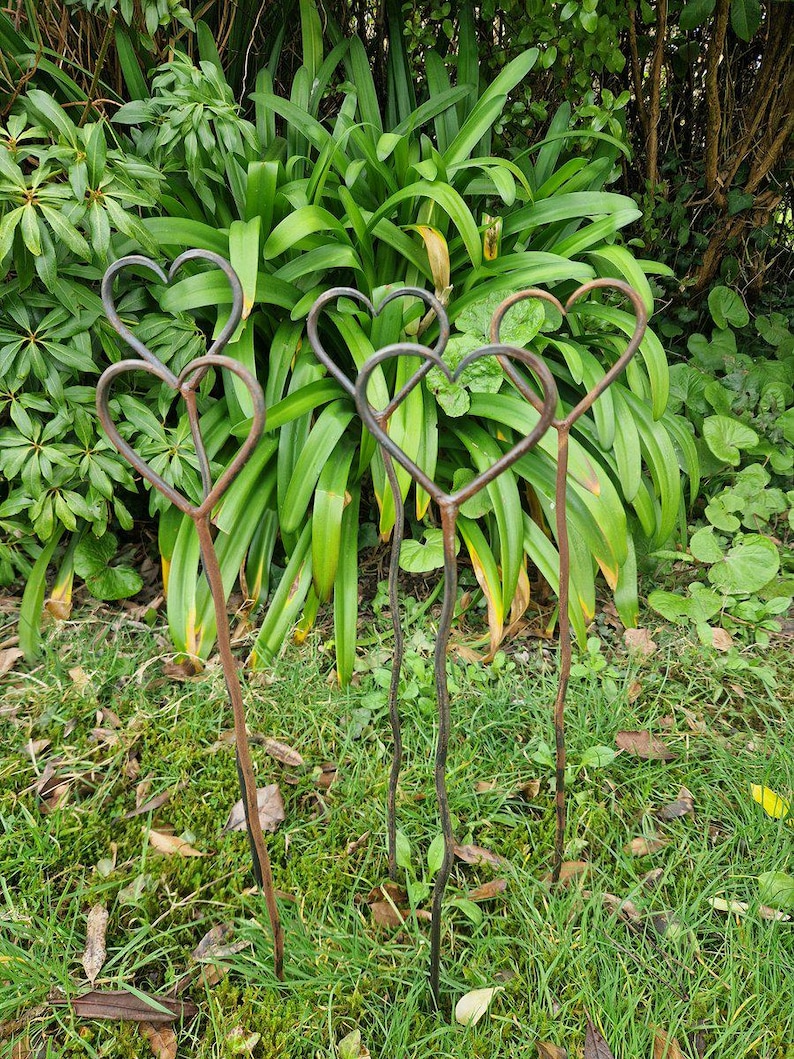 May include: Three metal heart-shaped garden stakes with long stems. The hearts are made of a dark, weathered metal, and the stakes are planted in a grassy area with lush green foliage in the background. The stakes add a touch of romance to any garden.
