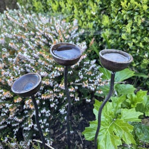 May include: Three handcrafted metal garden art pieces, each featuring a bowl-shaped top holding water. The dark, curved stems rise from the ground, creating a unique visual element. The background includes green foliage and flowering plants.