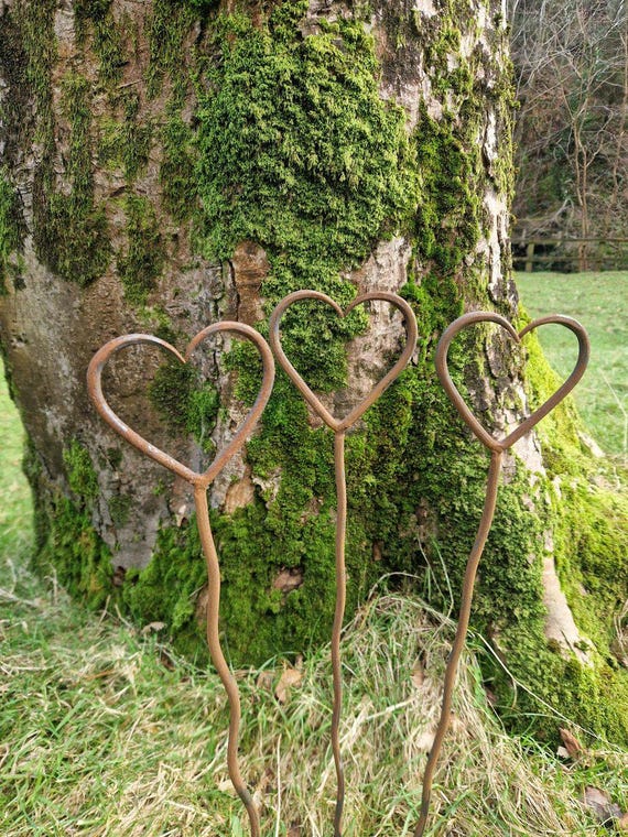 Hand Forged Wiggly Heart Garden Stake - Rustic Patina Plant Support Fun Garden Art Rusty Love Heart Decor