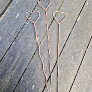 May include: Three rustic metal heart-shaped garden stakes. Each stake features a heart at the top and a long, slender stem. The stakes are made of a weathered, reddish-brown metal and are arranged against a wooden surface.
