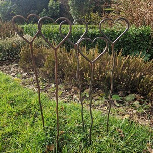 Hand Forged Wiggly Heart Garden Stake - Rustic Patina Plant Support Fun Garden Art Rusty Love Heart Decor image 2